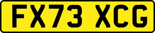FX73XCG
