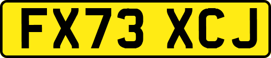 FX73XCJ