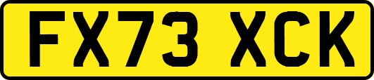 FX73XCK
