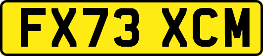 FX73XCM
