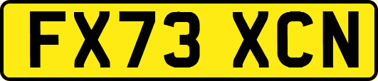 FX73XCN