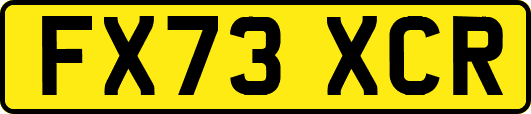 FX73XCR