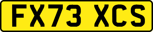 FX73XCS