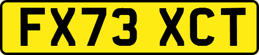 FX73XCT