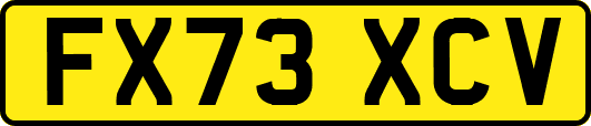 FX73XCV