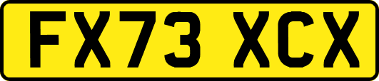 FX73XCX