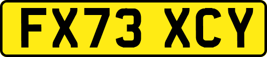 FX73XCY