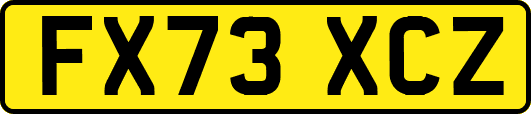 FX73XCZ