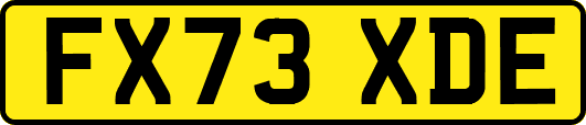 FX73XDE