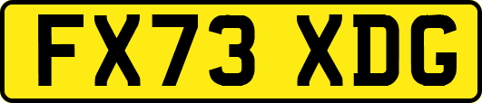 FX73XDG