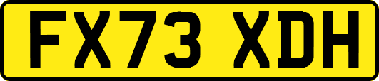 FX73XDH