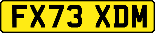 FX73XDM