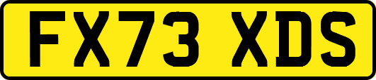 FX73XDS