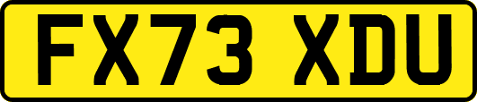 FX73XDU