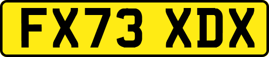 FX73XDX