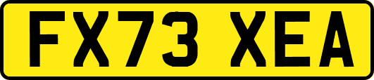 FX73XEA
