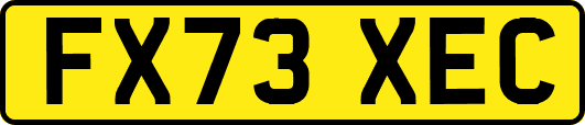 FX73XEC