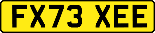 FX73XEE