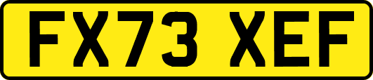 FX73XEF