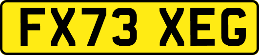FX73XEG