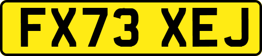 FX73XEJ