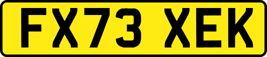 FX73XEK