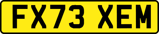 FX73XEM