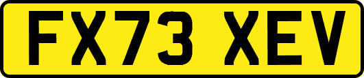 FX73XEV