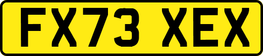 FX73XEX
