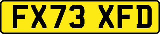 FX73XFD