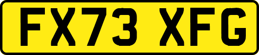 FX73XFG