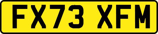 FX73XFM