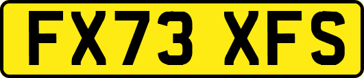 FX73XFS