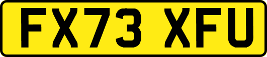 FX73XFU