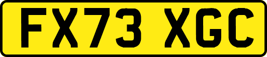 FX73XGC
