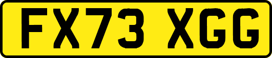FX73XGG
