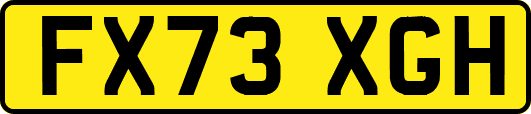 FX73XGH