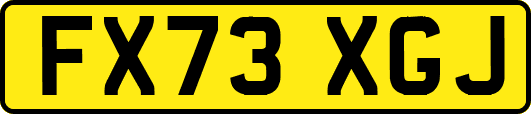 FX73XGJ