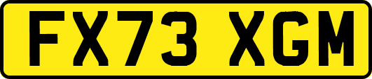 FX73XGM