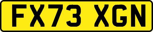 FX73XGN