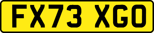 FX73XGO