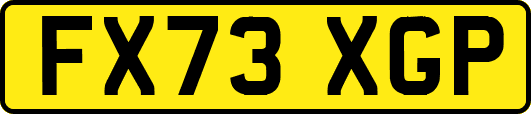 FX73XGP