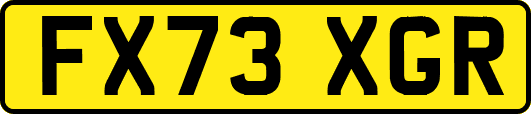 FX73XGR