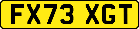 FX73XGT