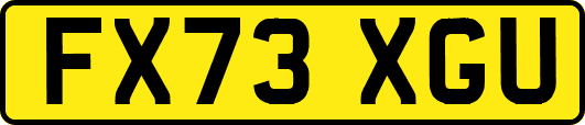 FX73XGU