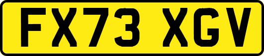 FX73XGV