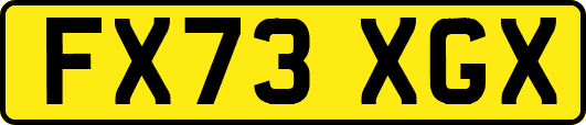 FX73XGX