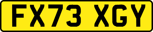 FX73XGY