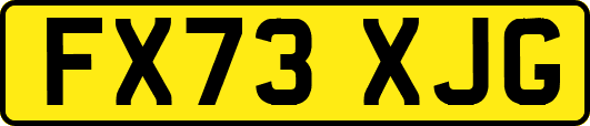 FX73XJG