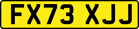 FX73XJJ